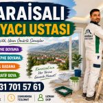 Karaisalı Boyacı Ustası