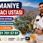 Osmaniye Boyacı Ustası